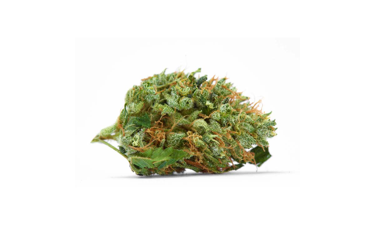 Cannabis Sorte Blute Bud Blute Apotheke Wirkung Thc Aroma Lemeon