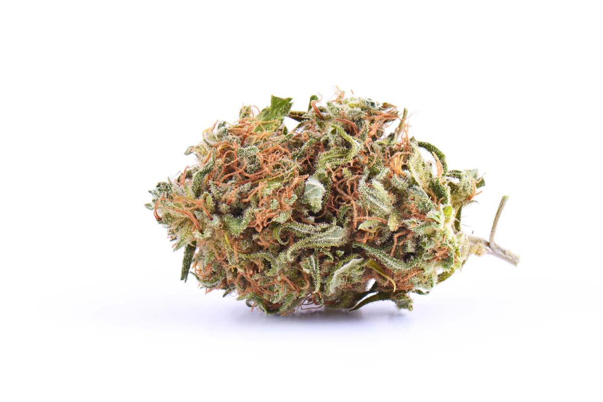 Agent Orange: Sorte, Aroma & THC Gehalt