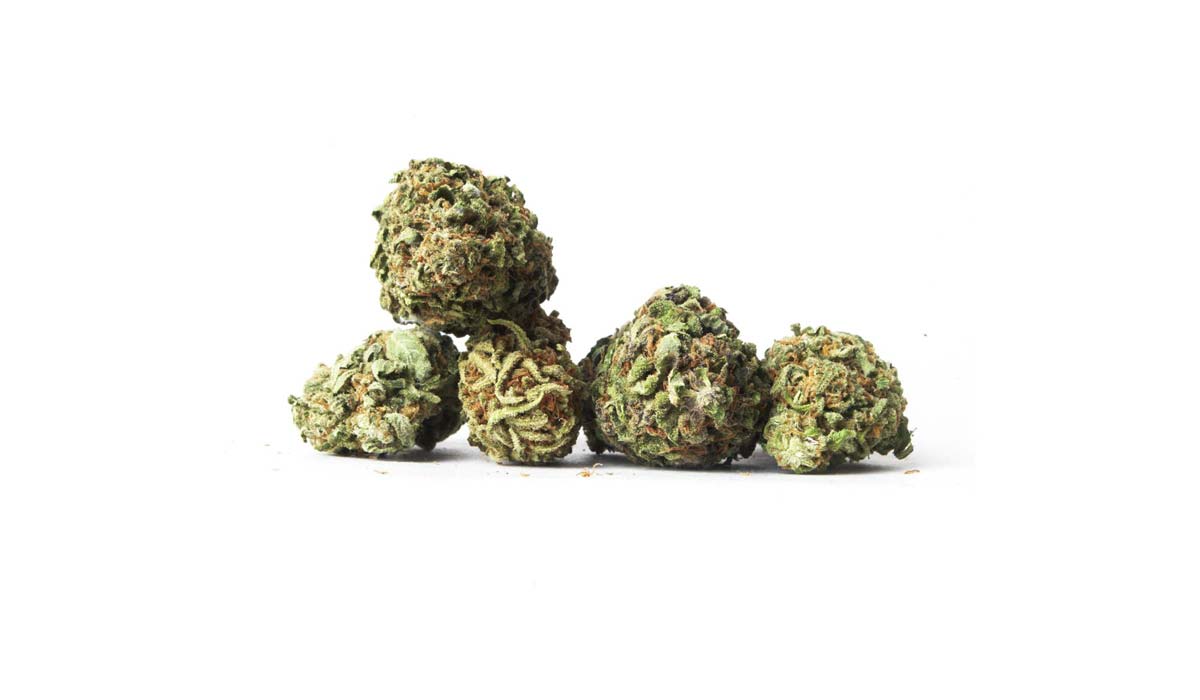 OG Punch: Sorte, Aroma & THC Gehalt