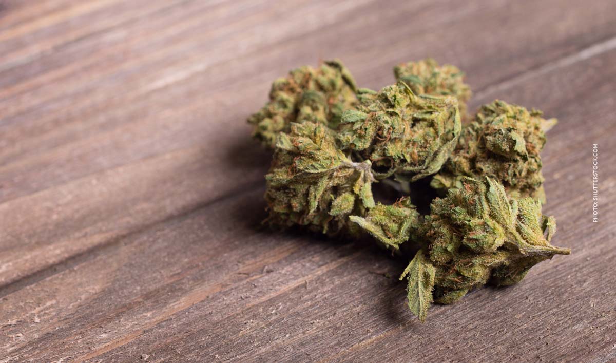 Strawberry Cough: Sorte, Aroma & THC Gehalt