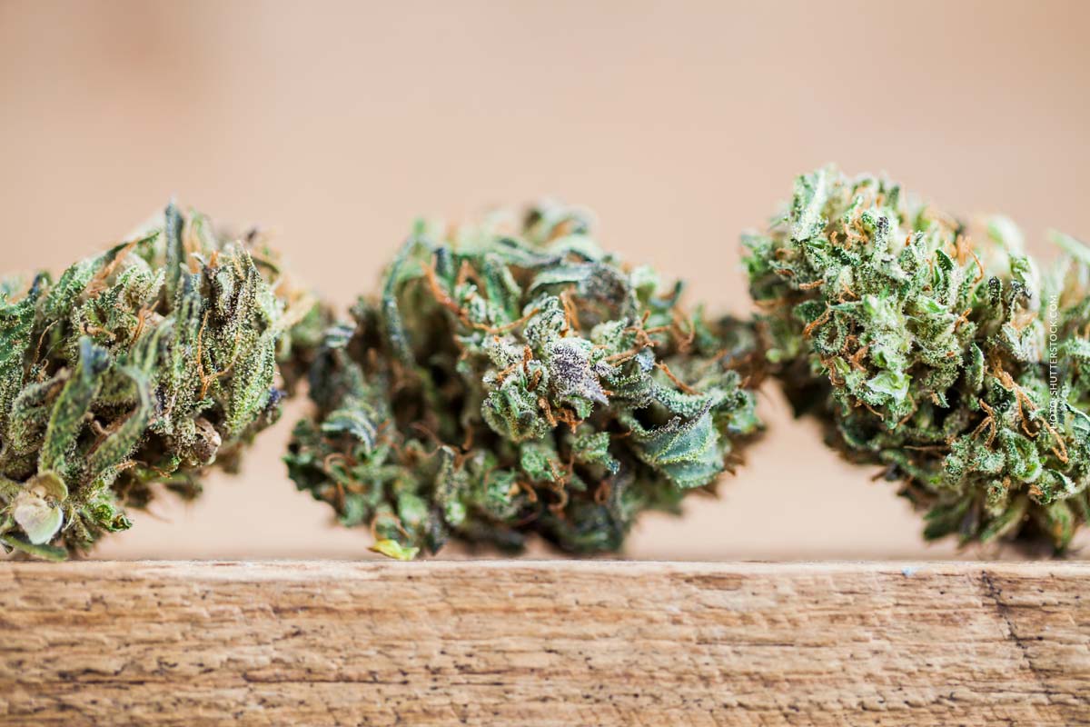 Tire Fire: Sorte, Aroma & THC Gehalt