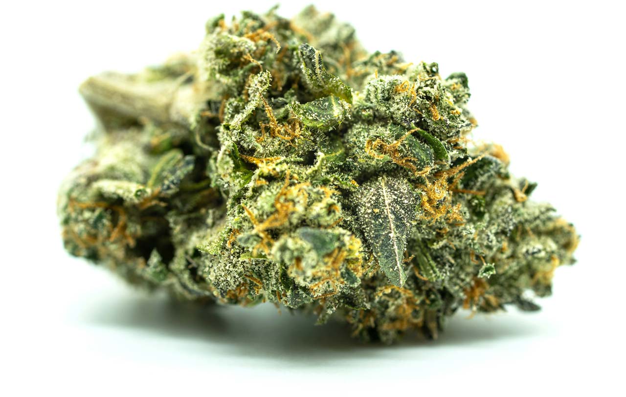 Orange Sherbert: Sorte, Wirkung & THC Gehalt