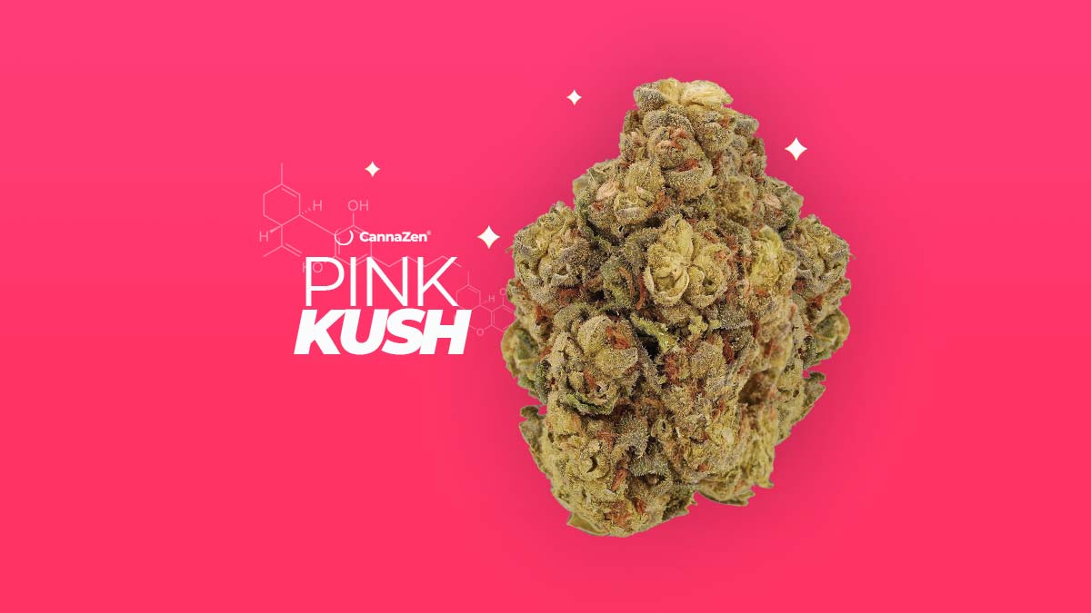 Bubba Kush: Sorte, Aroma & THC Gehalt