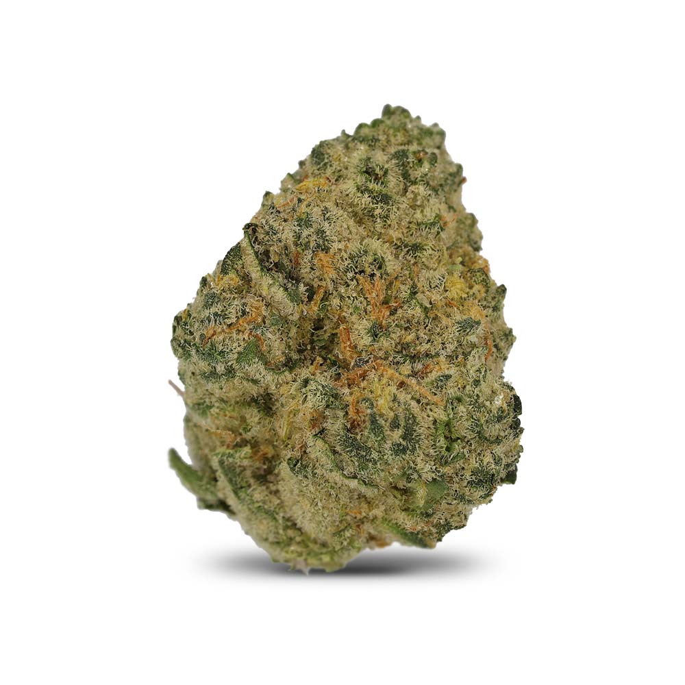 Polar Cookies Cannabis Arzt Rezept Apotheke Shop Blute Thc Wirkung