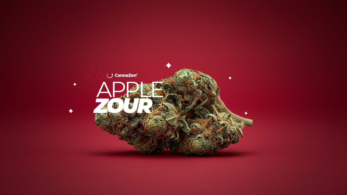 OG LA Affie: Sorte, Aroma & THC Gehalt