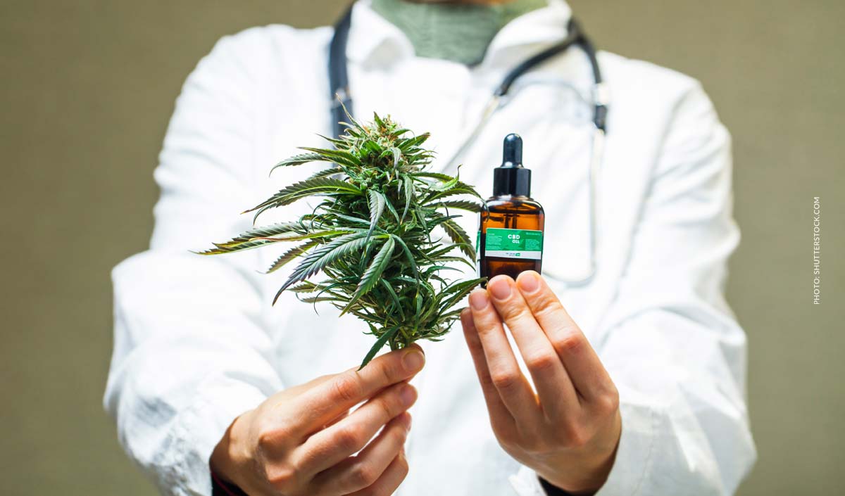 Cannabis Arzt Kassel: Behandlung, Therapie & Beratung