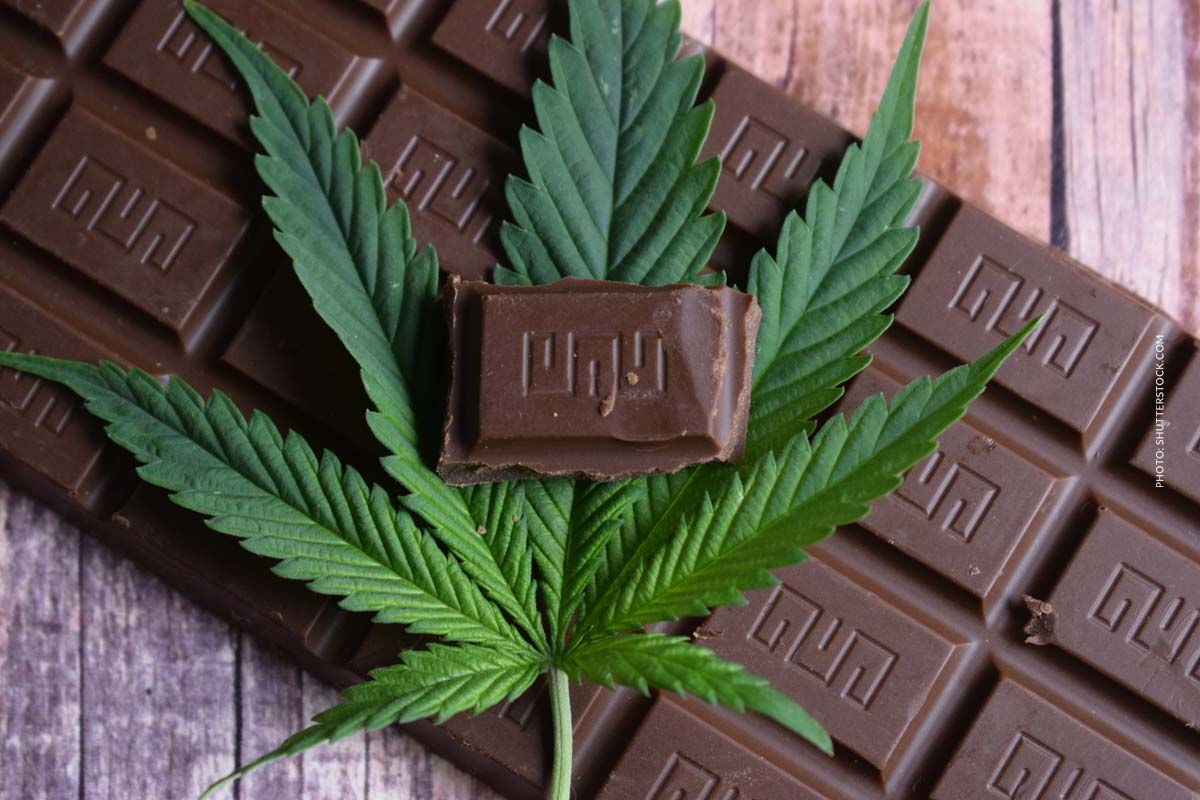 Cannabis Schokolade selber machen: Rezept, Genuss & Richtlinien
