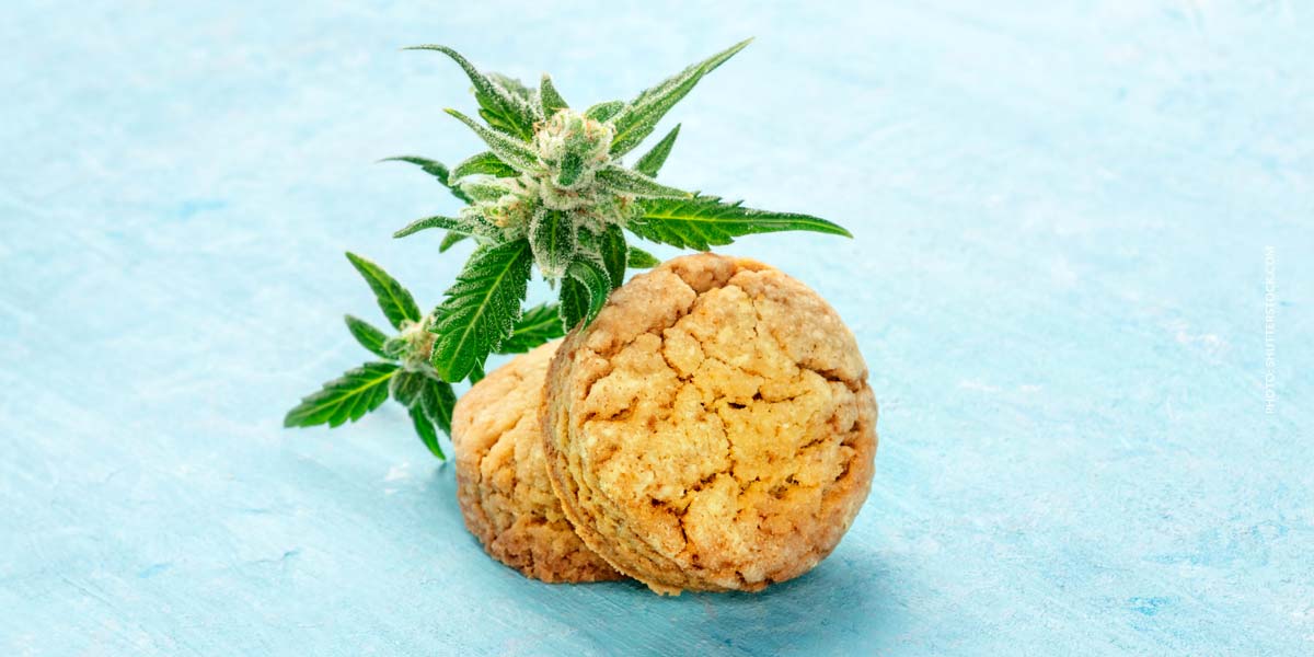 Afghani Sorten: Top 12 Strains – Liste, Namen, Wirkung & Herkunft