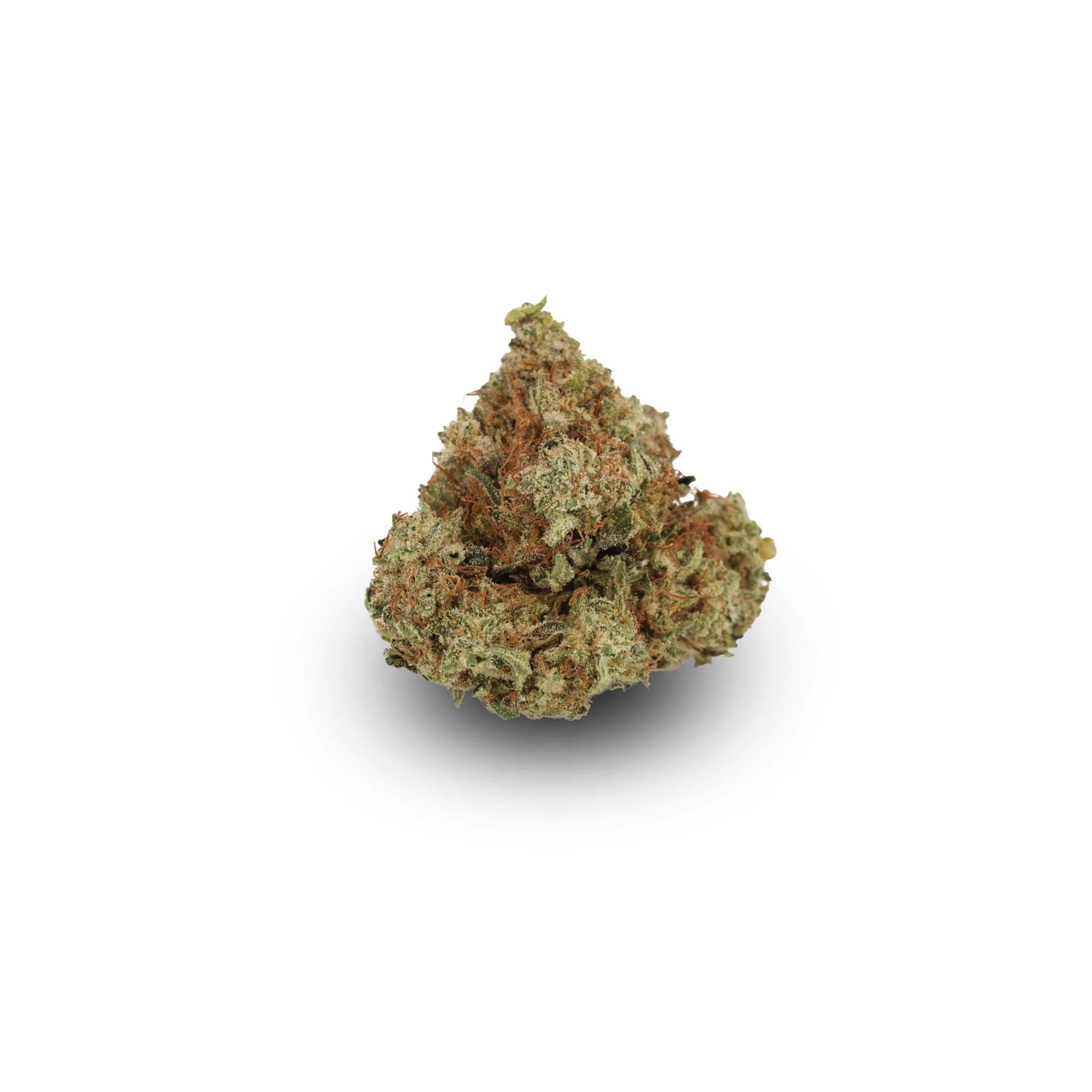Shop Cannabis Bestellen Ghost Train Haze Hanf Gras Bluete 1