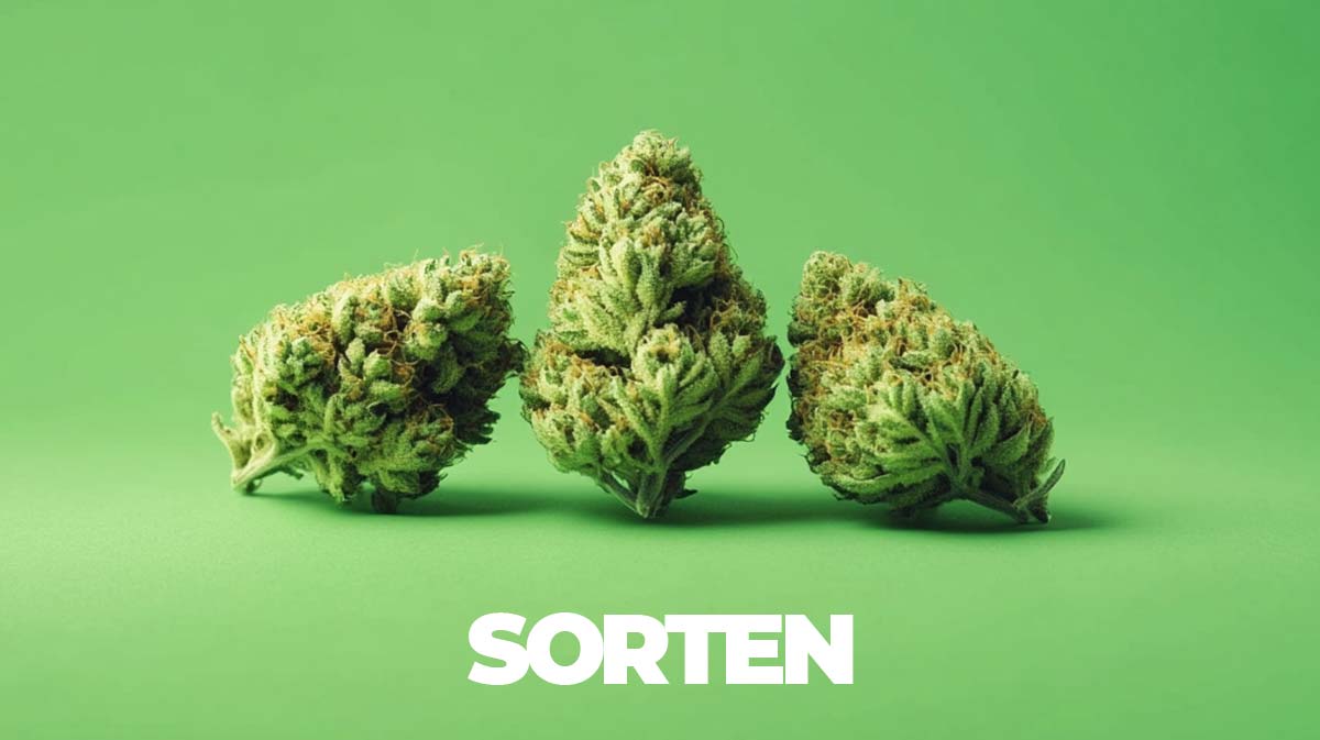 Strawberry Sorten: Top 16 Strains – Liste, Namen, Wirkung & Story