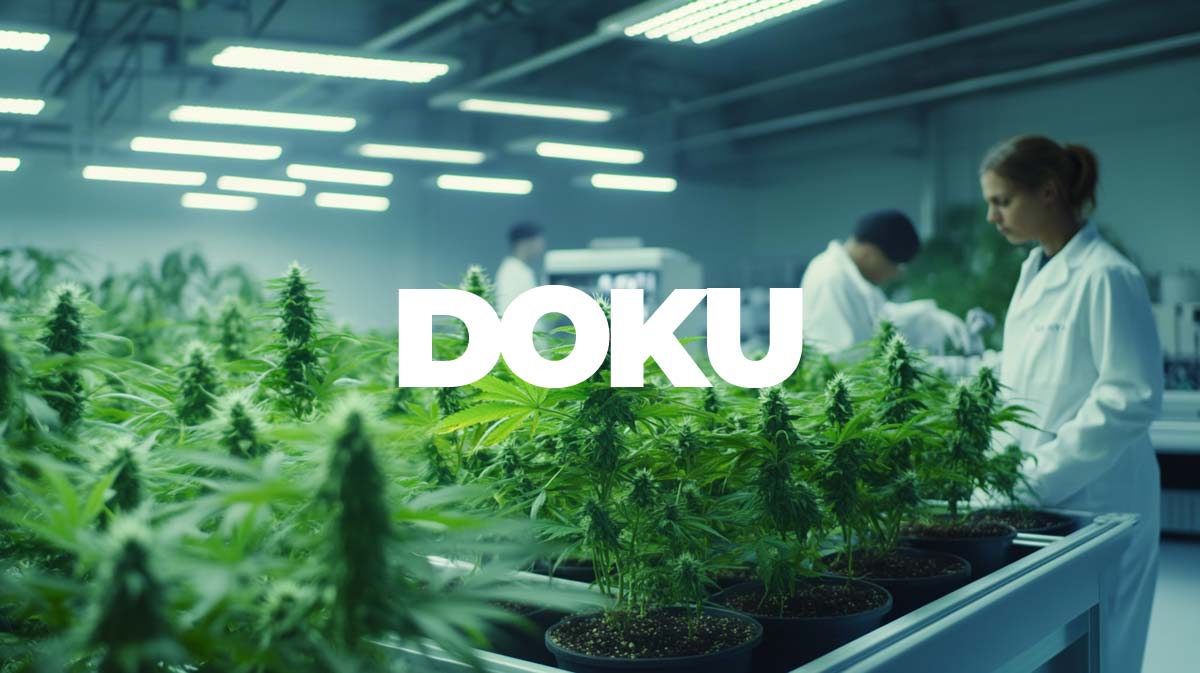 Cannabis Arzt Siegen: Behandlung, Beratung & Therapie