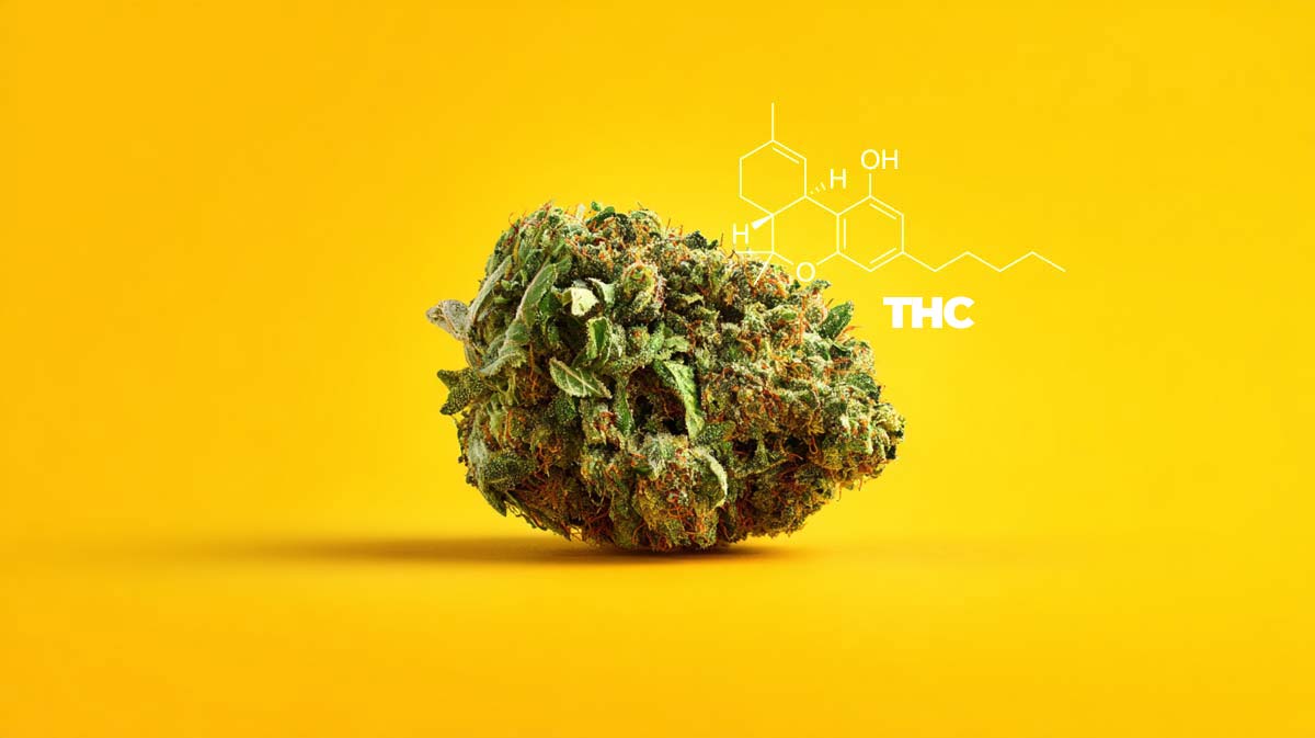 Four 20 Pharma Sorte THC 22%: Wirkung, Anwendung & Risiken