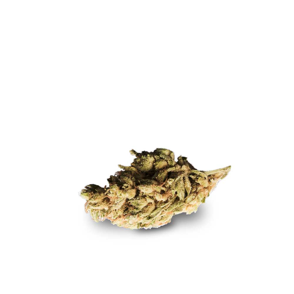 Shop Cannabis Rezept Cannabisblute Blute Bucket List Weed Bestellen Kaufen