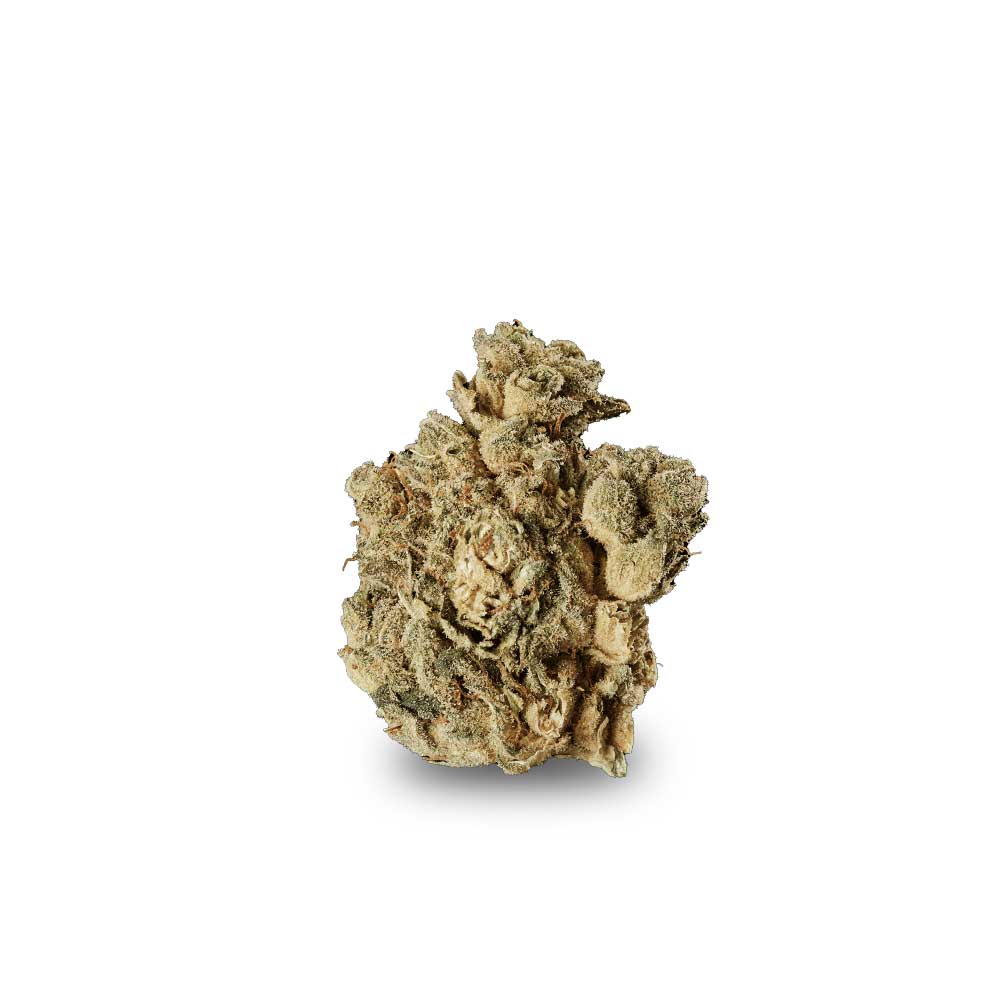 Shop Cannabis Rezept Cannabisblute Blute Private Banana Weed Bestellen Kaufen