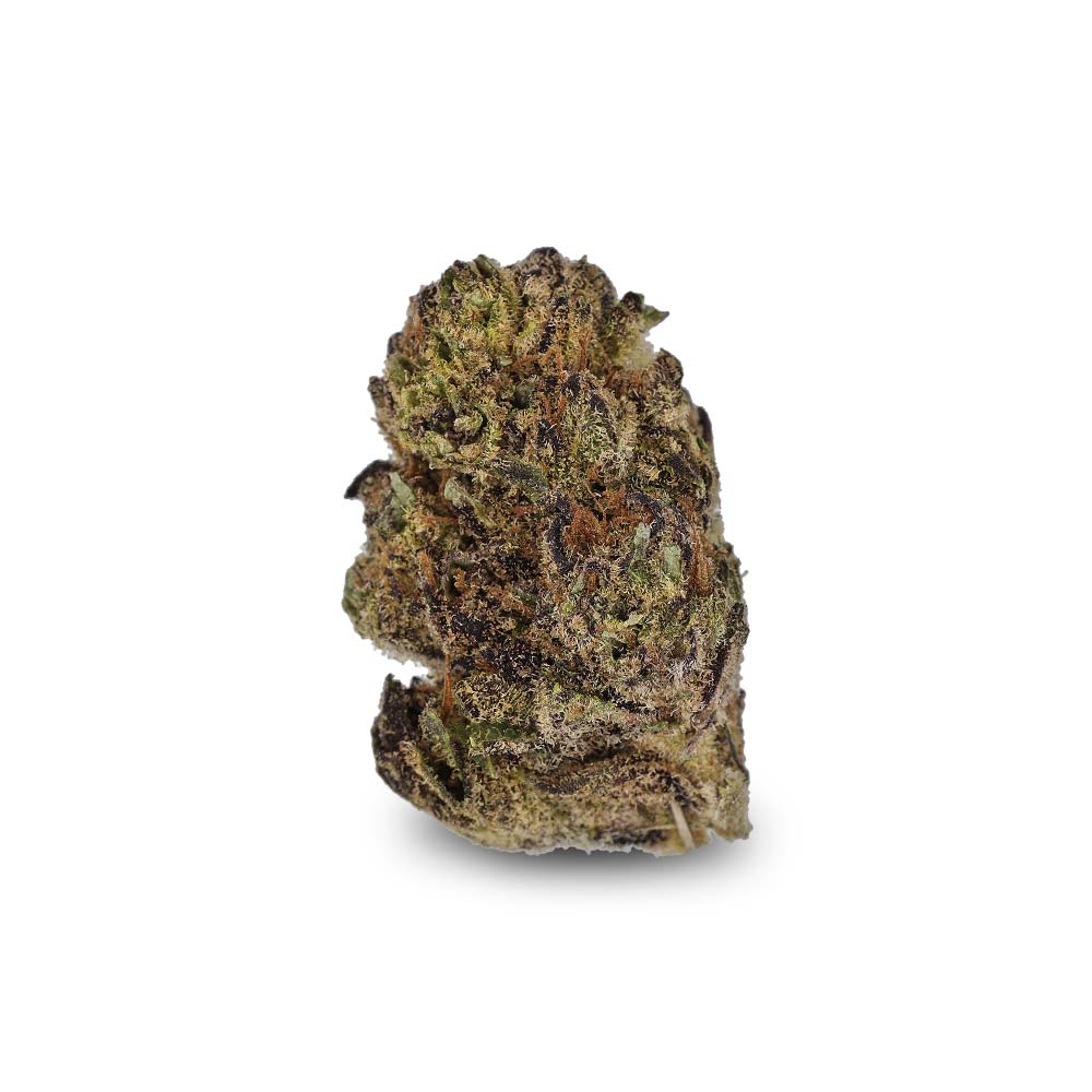 Mac Luana Blute Shop Cannabis Rezept Apotheke Weed Bud