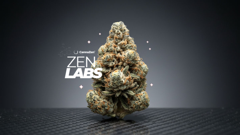 Cannabis Arzt Esslingen: Behandlung, Therapie & Begleitung