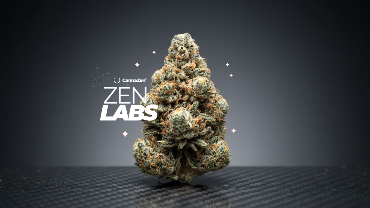 Cannabis Arzt Esslingen: Behandlung, Therapie & Begleitung